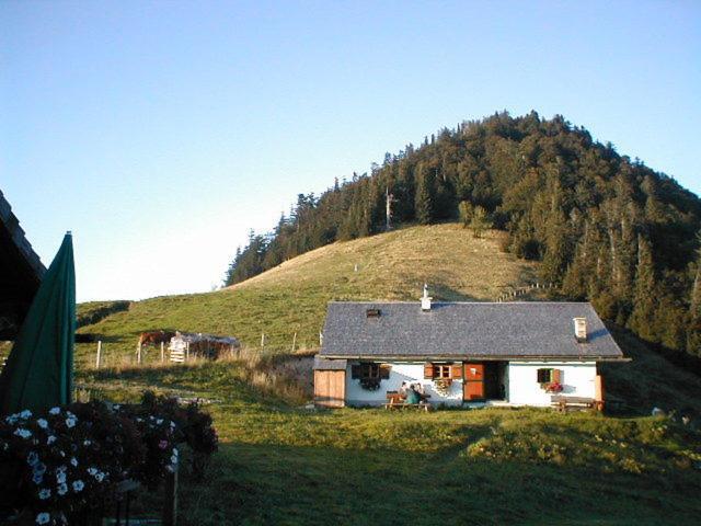 Appartements Ferienwohnungen Alpenblick Faistenau Dış mekan fotoğraf