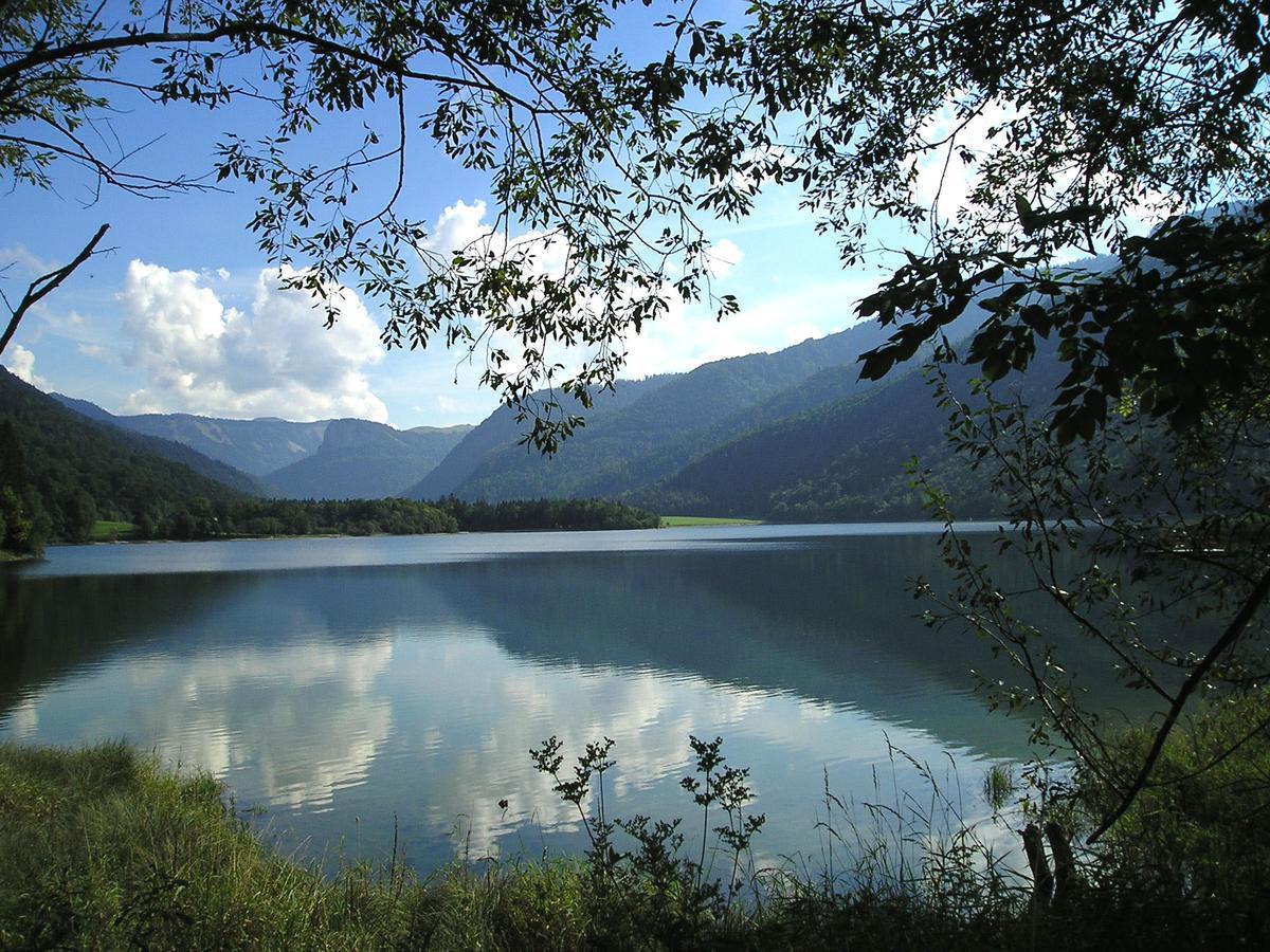 Appartements Ferienwohnungen Alpenblick Faistenau Dış mekan fotoğraf